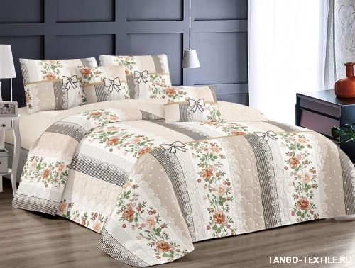   Dream Fly  DF-489