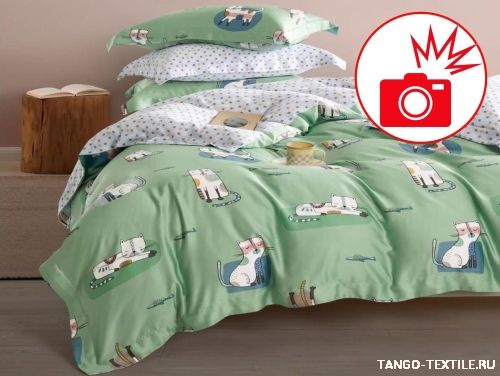   Tencel TT-134
