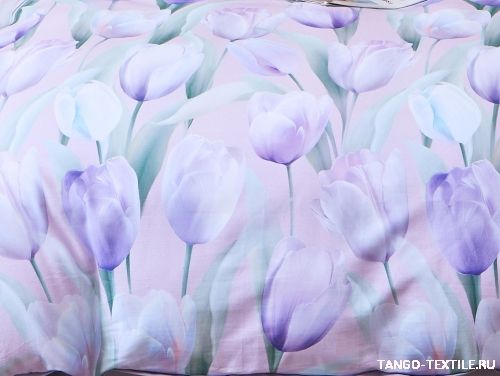 Постельное белье Flannel-273 фото 2