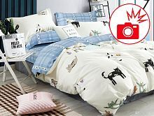   Tango Novella  TS-X261 ( )